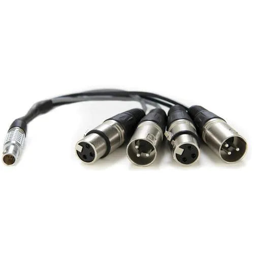 Atomos XLR Breakout Cable (in / out) - Atomos - VisionSounds South Africa